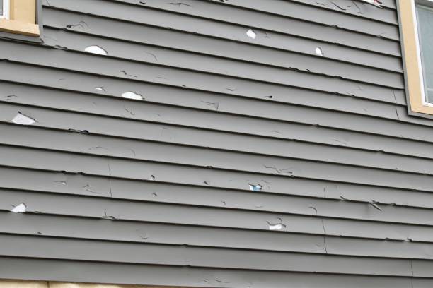 Best Siding Repair  in Woodacre, CA