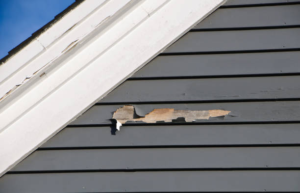 Best Siding Removal and Disposal  in Woodacre, CA
